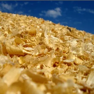 Опилки оптом в Щёлково купить - оперативная доставка по всей России