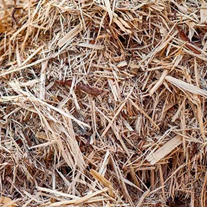 Щепа для арболита оптом в Щёлково и других различных марок заказать от 16 тонн