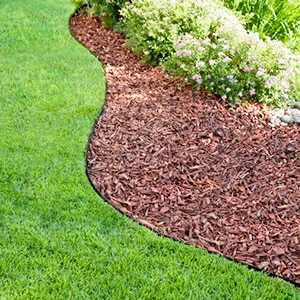 Сосновая щепа оптом в Щёлково и других различных марок заказать от 16 тонн